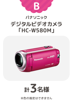 デジタルビデオカメラ「HC-W580M」